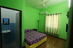 Green Joy Room